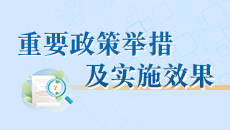 重要政策舉措及實施效果